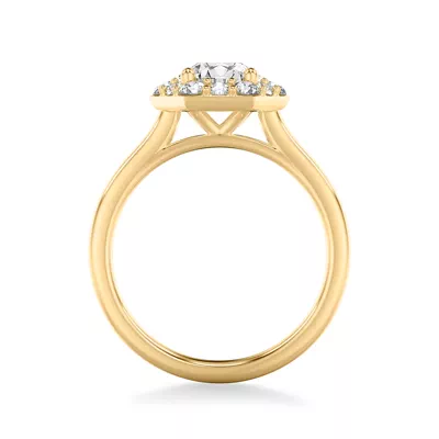 Nala Halo Engagement Ring