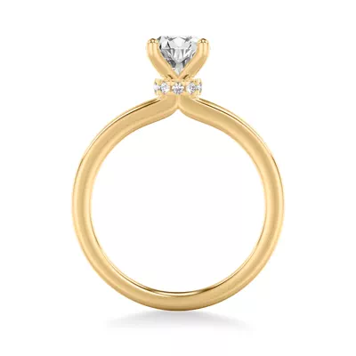 Shannon Diamond Collar Engagement Ring