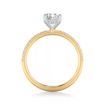 Greta Two-Tone Hidden Halo
