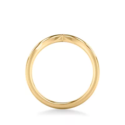 Brigitte Chevron Band