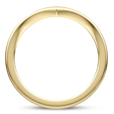Roxie Chevron Polished Band