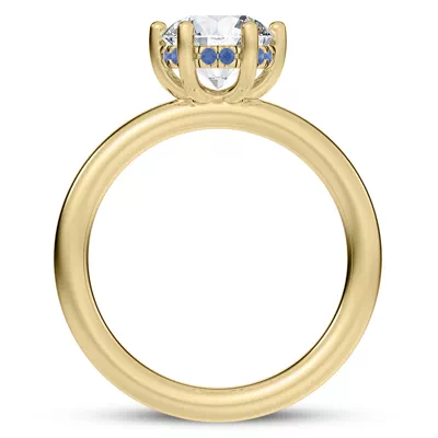 Colore Sapphire Hidden Halo Engagement Ring