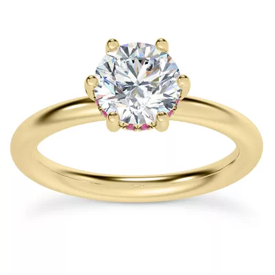 Colore Ruby Hidden Halo Engagement Ring