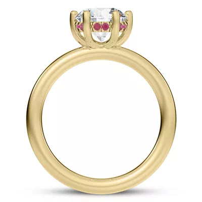 Colore Ruby Hidden Halo Engagement Ring