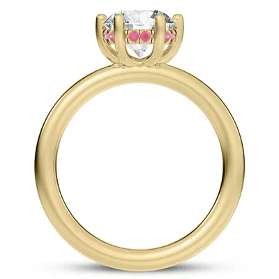Colore Pink Sapphire Hidden Halo Engagement Ring