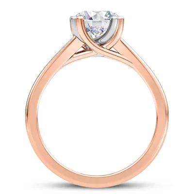 Tori Double Prong Mixed-Metal Hidden Halo Engagement Ring