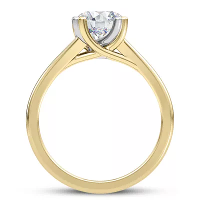 Tori Double Prong Mixed-Metal Hidden Halo Engagement Ring