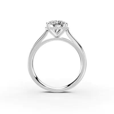 Ravenna Milgrain Halo Solitaire Engagement Ring (2.5mm)