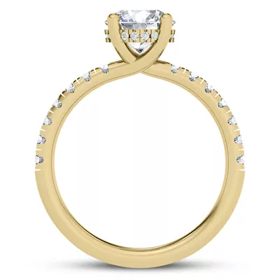 Cache Hidden Halo Trellis Pave Engagement Ring