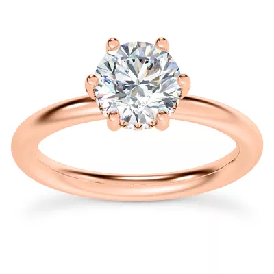 Colore Diamond Hidden Engagement Ring