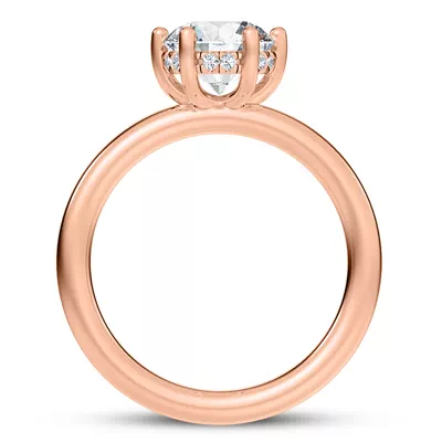Colore Diamond Hidden Engagement Ring