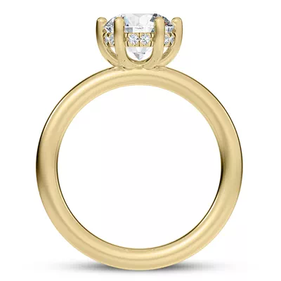 Colore Diamond Hidden Engagement Ring