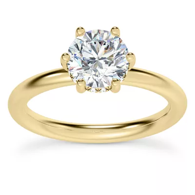 Colore Diamond Hidden Engagement Ring