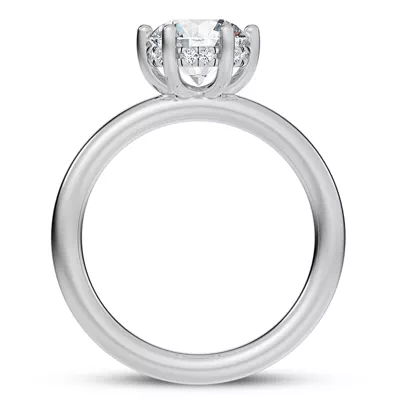 Colore Diamond Hidden Engagement Ring