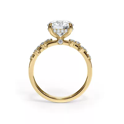 Maris Scattered Diamond Hidden Halo Engagement Ring