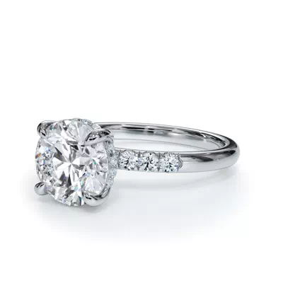 Bellora Trio Pavé Hidden Halo Engagement Ring (2mm)