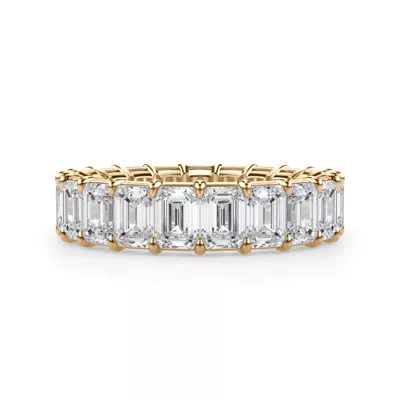 Emerald Cut Diamond Eternity Ring (5.0 ct. tw.)