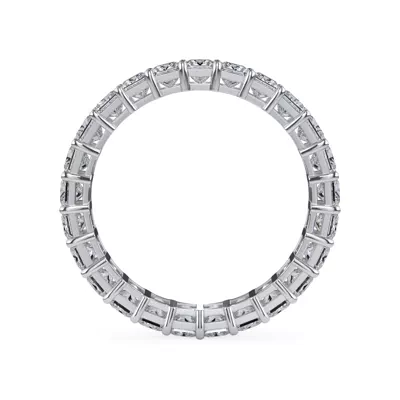 Princess Cut Diamond Eternity Ring (2.0 ct. tw.)