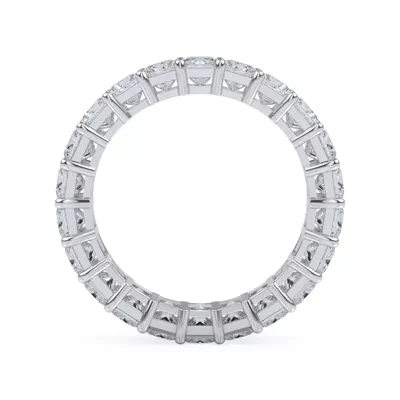 Princess Cut Diamond Eternity Ring (6.0 ct. tw.)