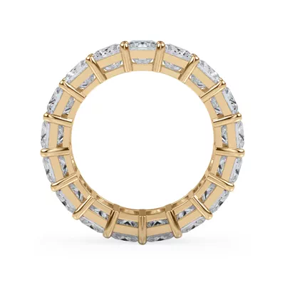 Princess Cut Diamond Eternity Ring (5.0 ct. tw.)