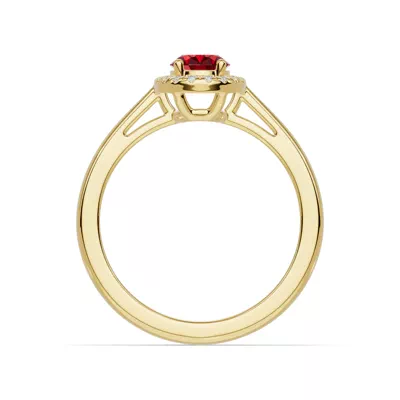 Oval Garnet Lab Diamond Halo Ring