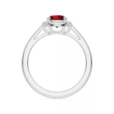 Round Garnet Lab Diamond Halo Ring