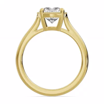 Lenora Milgrain Halo Cathedral Solitaire Engagement Ring