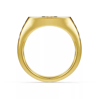 Initial Signet Lab Diamond Accent Ring - M