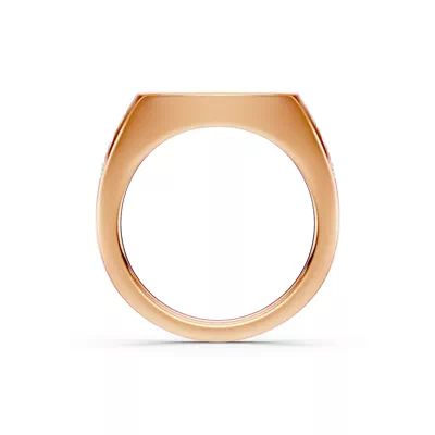Initial Signet Lab Diamond Accent Ring - S