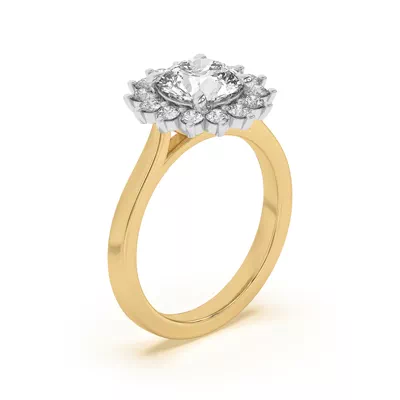 Nova Burst Two-Tone Halo Engagement Ring