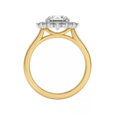 Nova Burst Two-Tone Halo Engagement Ring