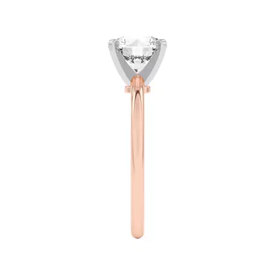 Ally Classic Two-Tone Engagement Ring (1.4mm)