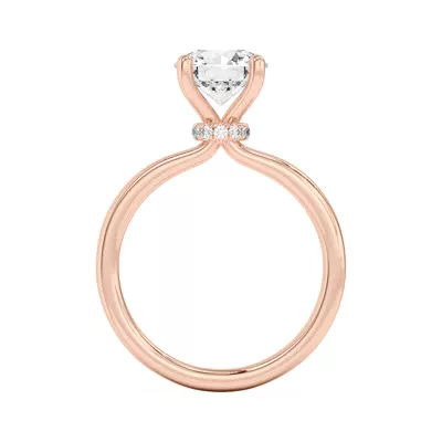 Briana Hidden Pavé Circlet Engagement Ring