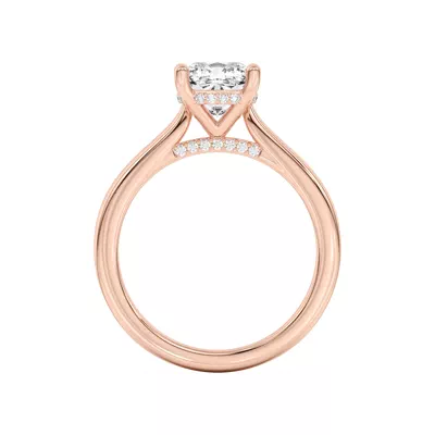 Sonja Diamond Bridge Hidden Halo Engagement Ring