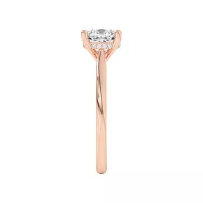 Sonja Diamond Bridge Hidden Halo Engagement Ring