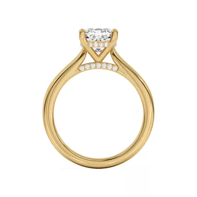 Sonja Diamond Bridge Hidden Halo Engagement Ring