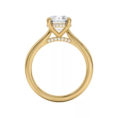 Sonja Diamond Bridge Hidden Halo Engagement Ring