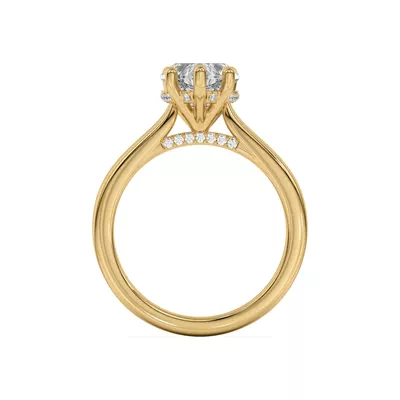 Sonja Diamond Bridge Hidden Halo Engagement Ring