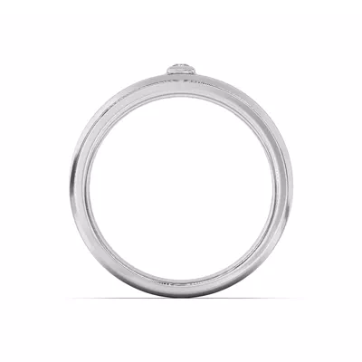 Raised Bezel Princess-Cut Band
