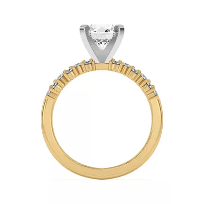 Cascade Engagement Ring (.50 ct. tw.)