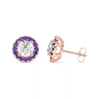 Eva Classic Sapphire Halo Earrings