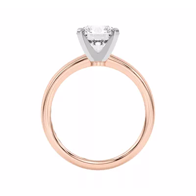 Ally Classic Two-Tone Engagement Ring (2mm)