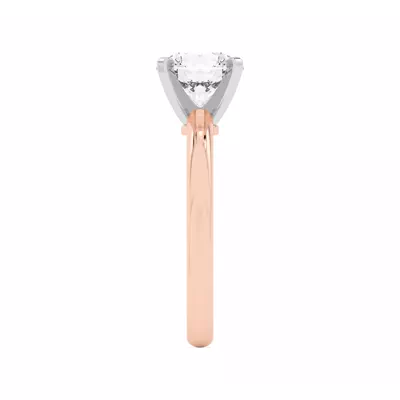Ally Classic Two-Tone Engagement Ring (2mm)