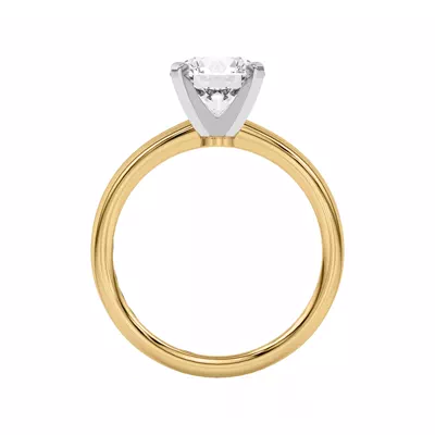 Ally Classic Two-Tone Engagement Ring (2mm)