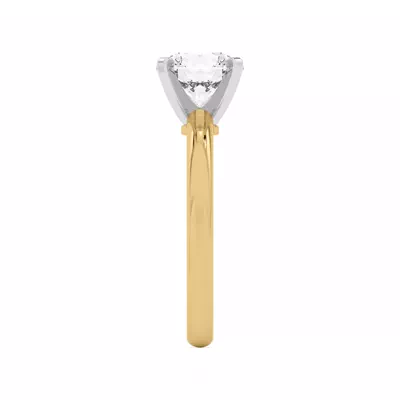 Ally Classic Two-Tone Engagement Ring (2mm)