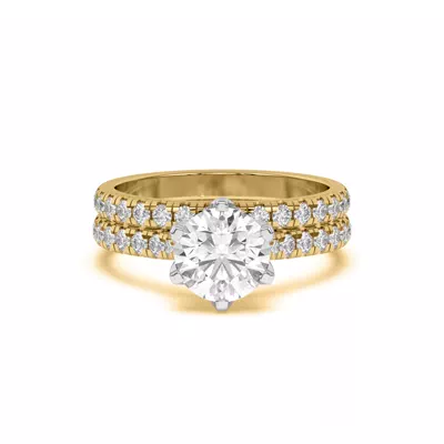 Marigold Grand Pavé Band