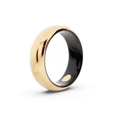 Black Ceramic Interior Comfort-Fit Gold Band (6mm)