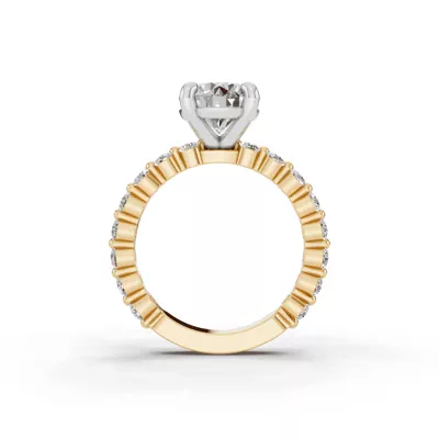 Signature Hearts & Arrows Shared Prong Lab Engagement Ring (.70ct. tw.)