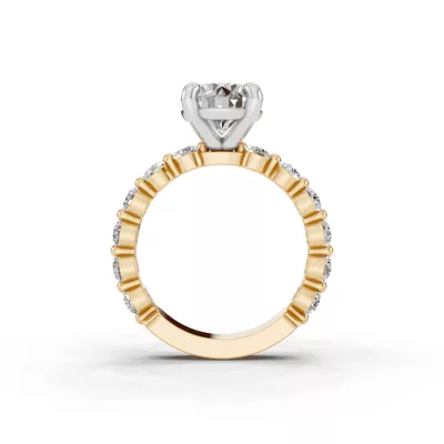 Signature Hearts & Arrows Shared Prong Lab Engagement Ring (1.00ct. tw.)