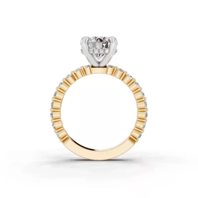 Signature Hearts & Arrows Hidden Halo Shared Prong Lab Engagement Ring (.60ct. tw.)